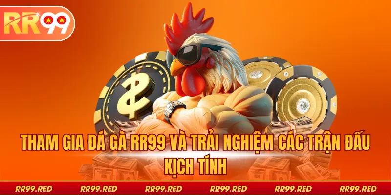 Tham gia đá gà RR99 và trải nghiệm các trận đấu kịch tính
